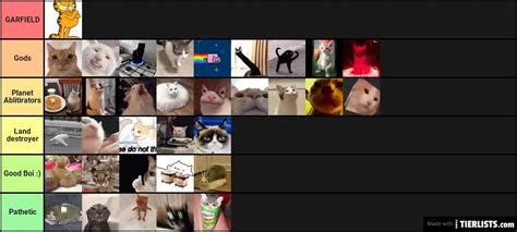 cat memes Tier List - TierLists.com