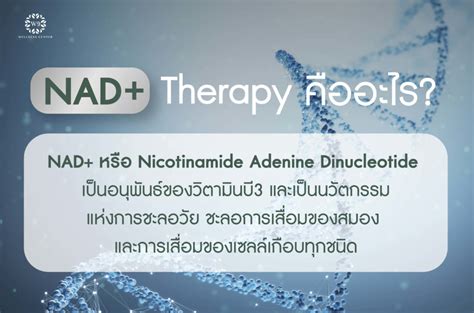 NAD+ Therapy เคล็ดลับชะลอวัย เลิกโทรมเพราะเซลล์เสื่อม | w9wellness