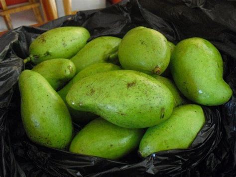 Mangos Tiernos, El Salvador