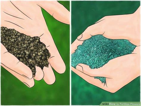 3 Ways to Fertilize Flowers - wikiHow