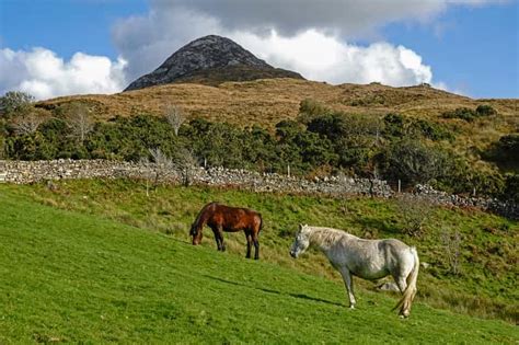 From Galway: Connemara National Park Full Day Tour | GetYourGuide