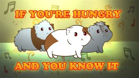 If you're hungry and you know it - guinea pig song - YouTube