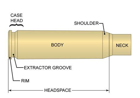 Rifle Parts Diagram Modern Cartridge