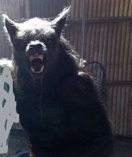 Dogman … | Werewolf vs vampire, Vampires and werewolves, Werewolf