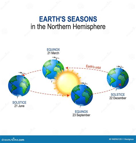 Map Of Northern Hemisphere - Polar Stereographic Vector Illustration ...