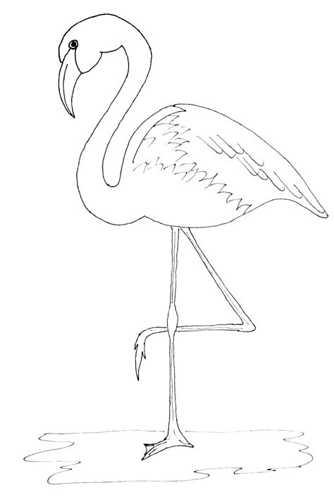 Simple Flamingo Drawing at GetDrawings | Free download