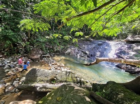 A Guide to Gunung Pulai: The Best Hiking Trail in JB