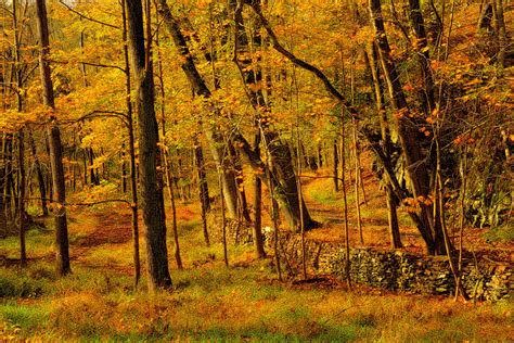 Josh Friedman Photography: Autumn Woods: HDR Photographs in Bucks County, Pennsylvania