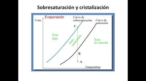 Cristalización en la producción de azúcar: técnicas y procesos ...