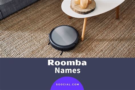 371 Funny Roomba Names For Your Robot Vacuum (LOL!) - Soocial