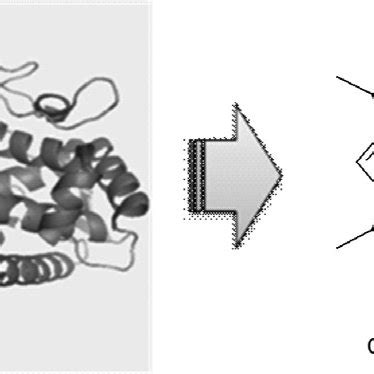 Chemical structure of iron protoporphyrin IX. | Download Scientific Diagram