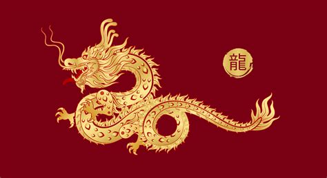 Chinese dragon gold modern flower pattern. Isolated on red background for card design print ...