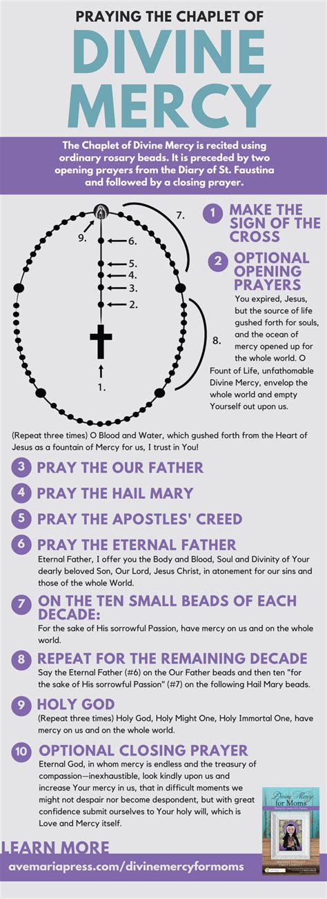 The Chaplet of Divine Mercy Infographic | Ave Maria Press