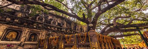 Mahabodhi Temple Tour – 3N & 4D, Ex-Patna - Visit Bihar