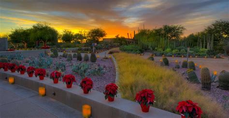 Desert Botanical Garden - Las Noches de las Luminarias - Blog Stories