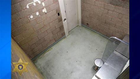 Inside Cook County Jail visitor's accidental prison - ABC7 Chicago