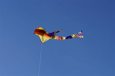 Free Images : sky, play, wind, fly, high, autumn, child, blue, colorful ...