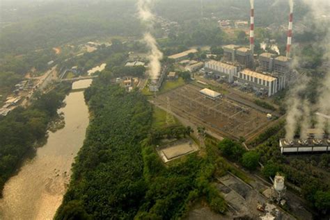 Bukit Asam's profit skyrockets on higher coal price, greater efficiency - Business - The Jakarta ...