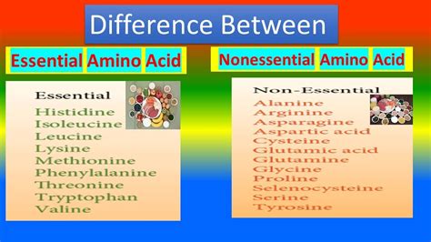 Amino Acids: Types, Functions, Sources, And Differences, 40% OFF