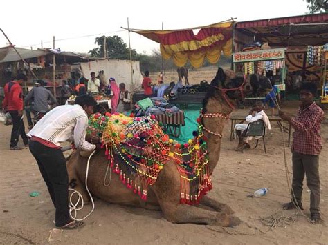 Pushkar Mela, Rajasthan: A Glimpse of Rural India - Unusual Traveler