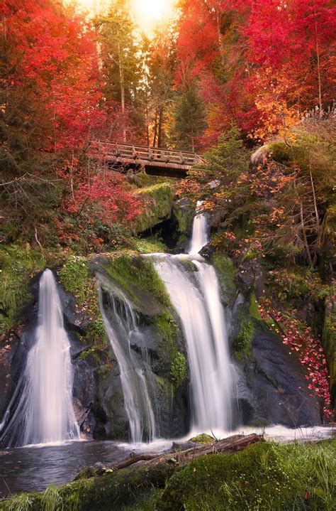 Blackforest Tales | Beautiful waterfalls, Waterfall, Forest waterfall