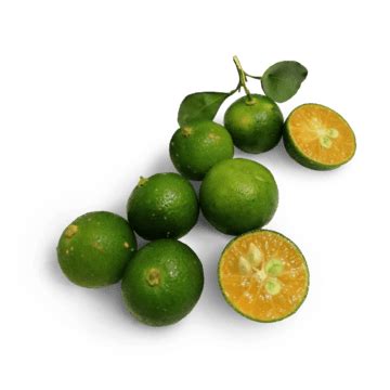 Calamansi PNG Transparent Images Free Download | Vector Files | Pngtree