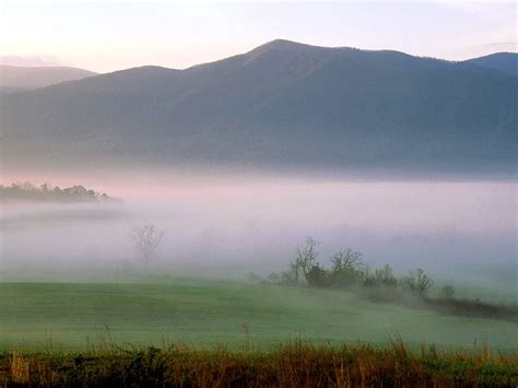 Background Mist, Landscapes, Fog 🔥 TOP Free Download images