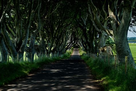 The Dark Hedges, near Ballymoney, Northern Ireland - Travel Past 50