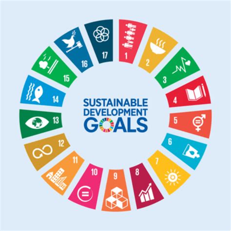 Sustainable Development Goals (SDGs) Youth Ambassadors Programme ...