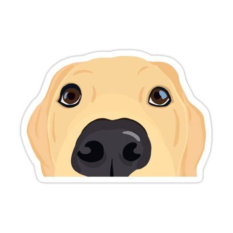 "Curious Yellow Labrador Puppy" Sticker for Sale by kherrin in 2023 ...