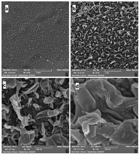 DWES - Evaluation of thin film composite forward osmosis membranes: effect of polyamide ...