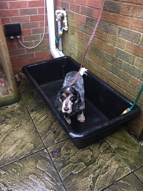 Dog Bath Tub and cooling pool (150L) Ideal for larger dogs Free ...