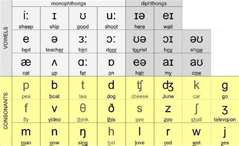 How the Phonetic Alphabet Can Help You | Lingoda - Online Language School