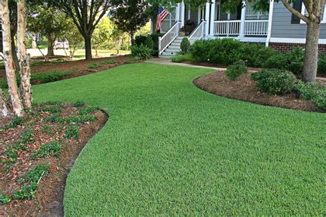 Zoysia grass for Florida Lawns - Green Earth Solutions, Inc - Lawn Care ...