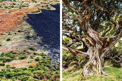 Portugal's Azores Islands Are Still a Wild Paradise | Condé Nast Traveler