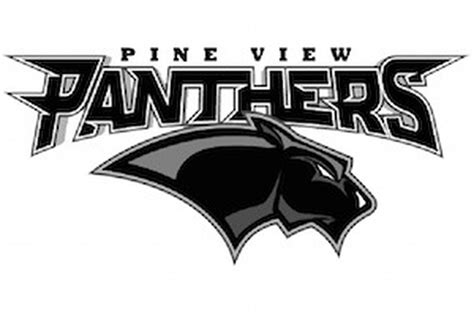 High school football: Pine View Panthers 2020 preview - Deseret News