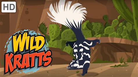 Wild Kratts Spotted Skunk