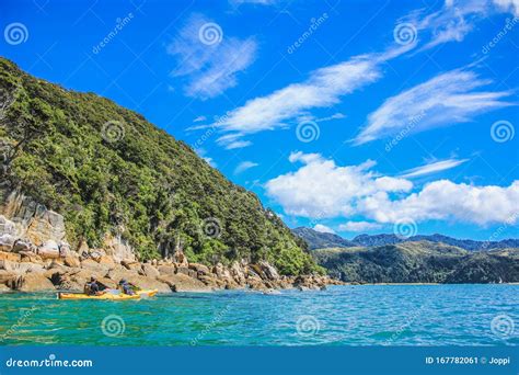 Abel Tasman National Park, South Island, New Zealand Stock Image ...