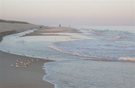 A Brief Tour Of Beaches in The Hamptons