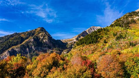 Where to see the best displays of fall foliage in Utah