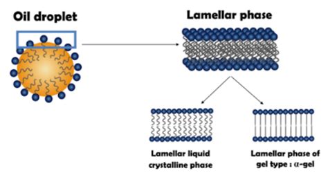 How lamellar liquid crystal emulsion can strengthen skin barrier