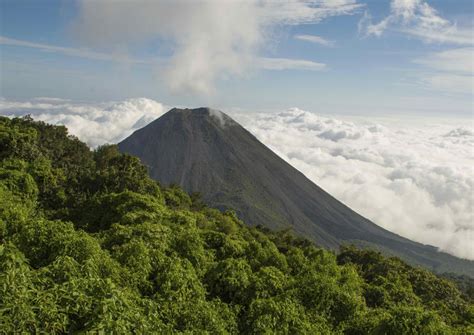 Parque Nacional Cerro Verde: Cosas que Hacer en 2020 - Viator