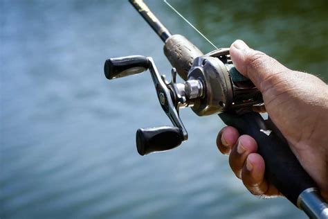 Different Types Of Fishing Reels - All You Need To Know