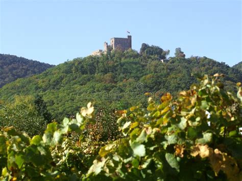 Castle of Hambach stock image. Image of emperors, neustadt - 25686981