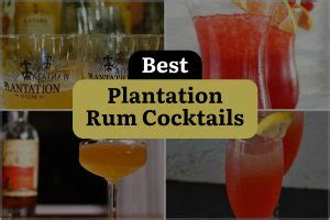 4 Plantation Rum Cocktails to Transport You to the Tropics | DineWithDrinks