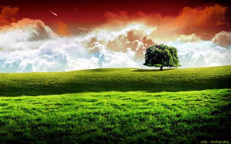 Indian Flag Hd HD wallpaper