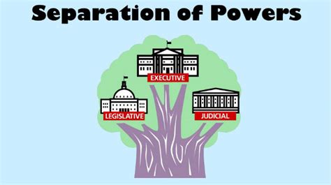 Analysis: Separation Of Powers In India