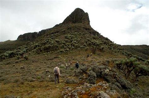 Mount Elgon : Climbing, Hiking & Mountaineering : SummitPost