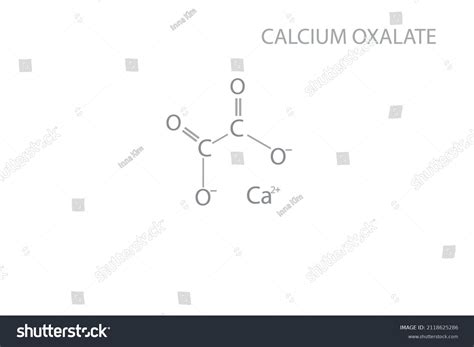 Calcium Oxalate Chemical Molecular Skeletal Formula: เวกเตอร์สต็อก ...