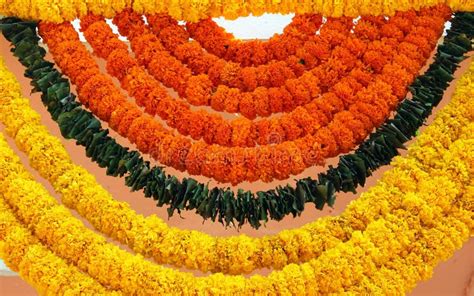 La Naranja Tradicional India Florece La Guirnalda Foto de archivo - Imagen de flor, ceremonia ...